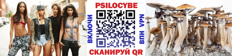 где купить наркотик  OMG как зайти  Галлюциногенные грибы мицелий  Дрезна 