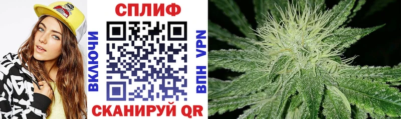 Конопля Bruce Banner  наркошоп  Дрезна 